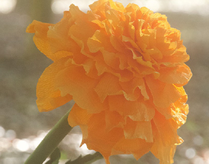 ペーパー素材 花画像